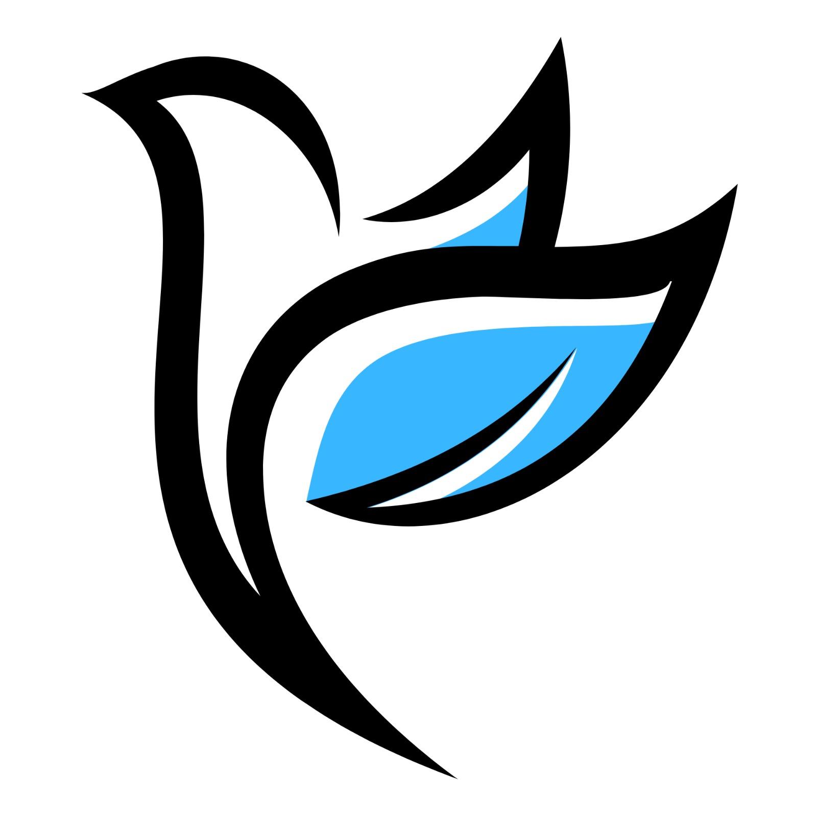 NSoC logo
